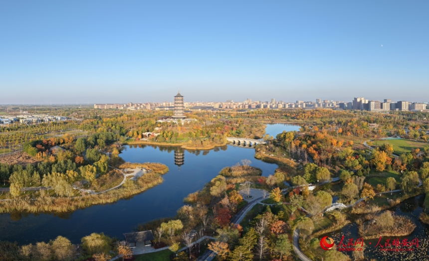 DJI_20251101161642_0617_D_副本