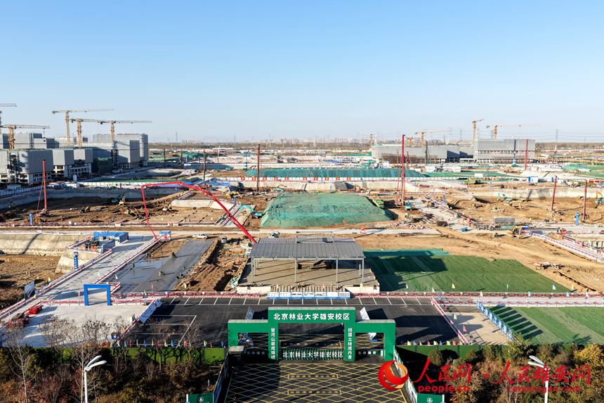 DJI_20251117152915_0162_D