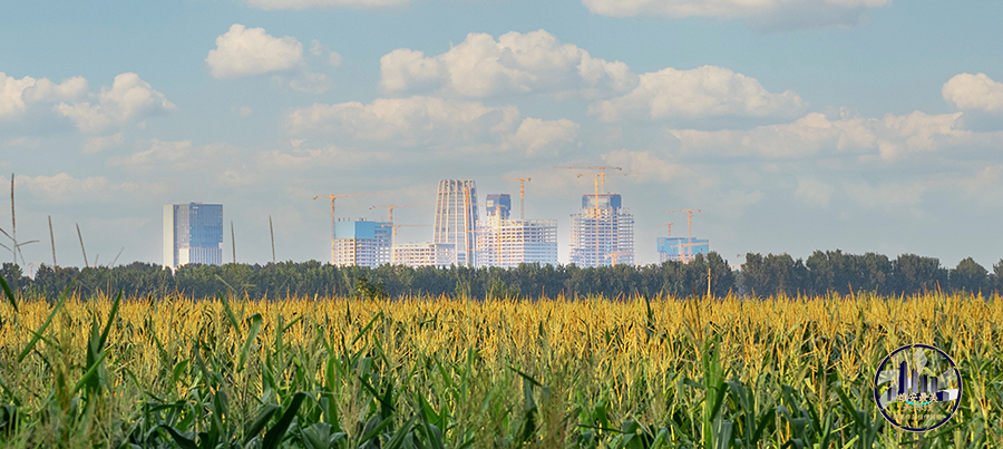 雄安新區啟動區。金瀟楠攝