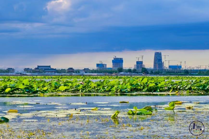 4396ad1e8fad9d495e46720cf85ea56f