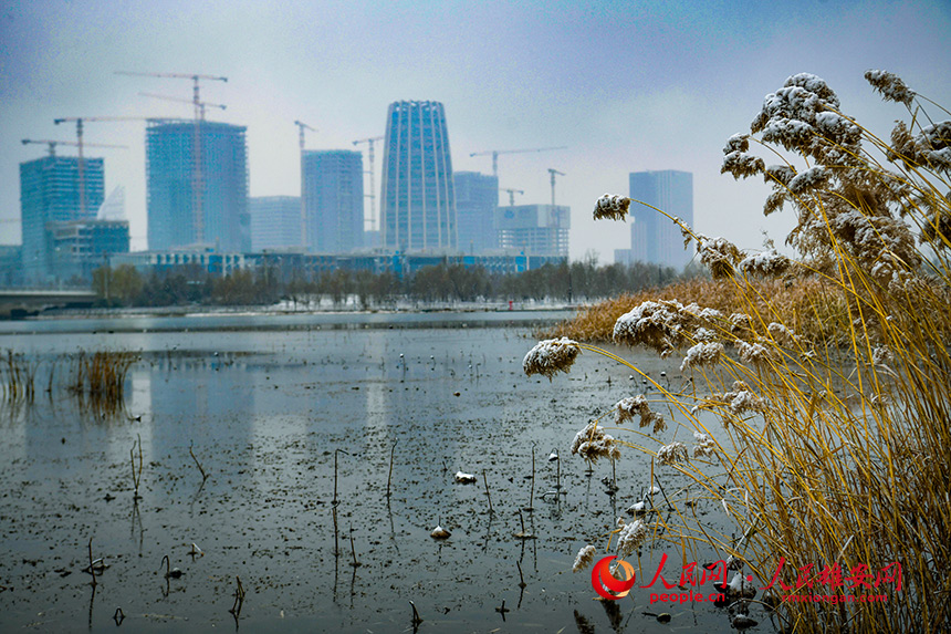 1雄安初雪，任雙歡