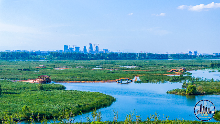 绿波遥映雄安新城。张学农摄