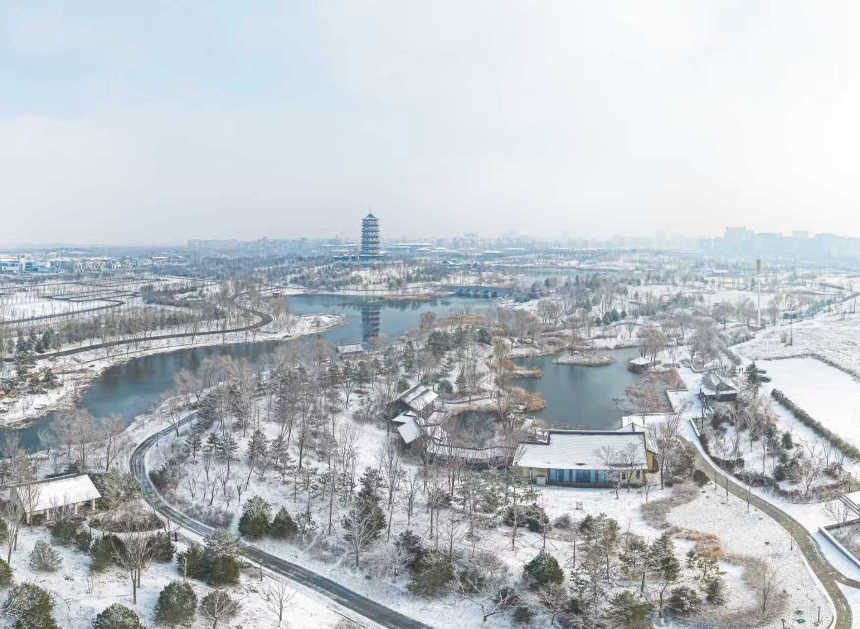 雄安悦容公园。胡忠摄