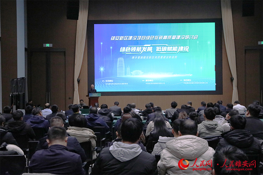 研讨会现场。人民网记者 王红摄