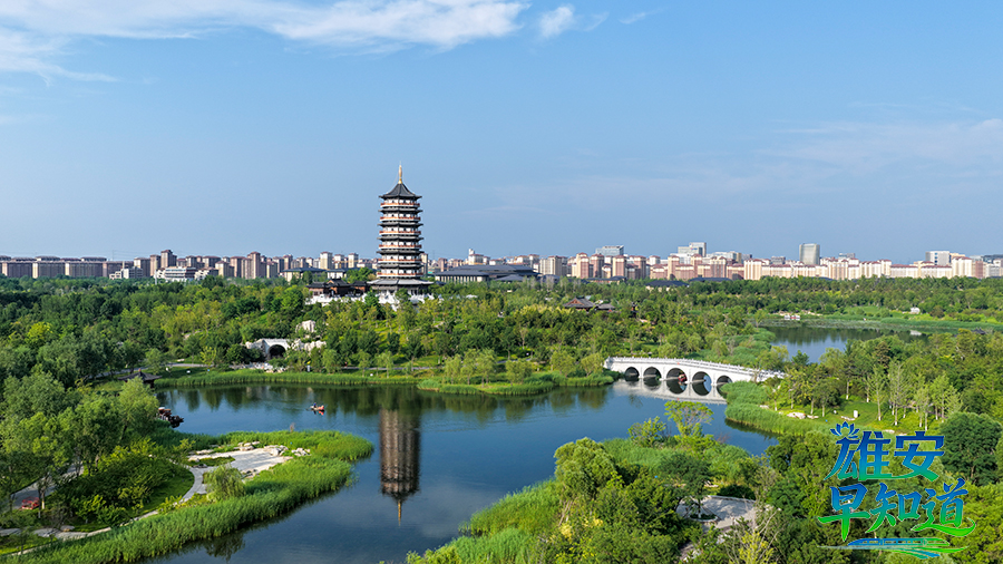 雄安悅容公園。齊鑫攝