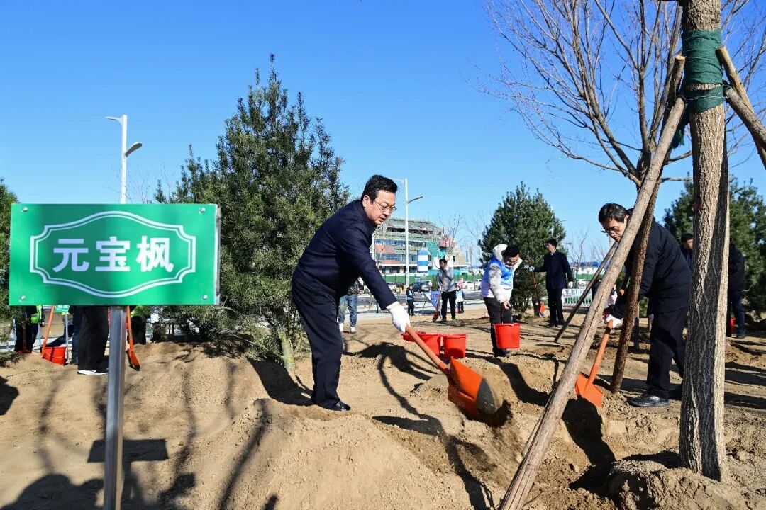 張國華參加雄安新區2026年義務植樹活動。王偉倩攝