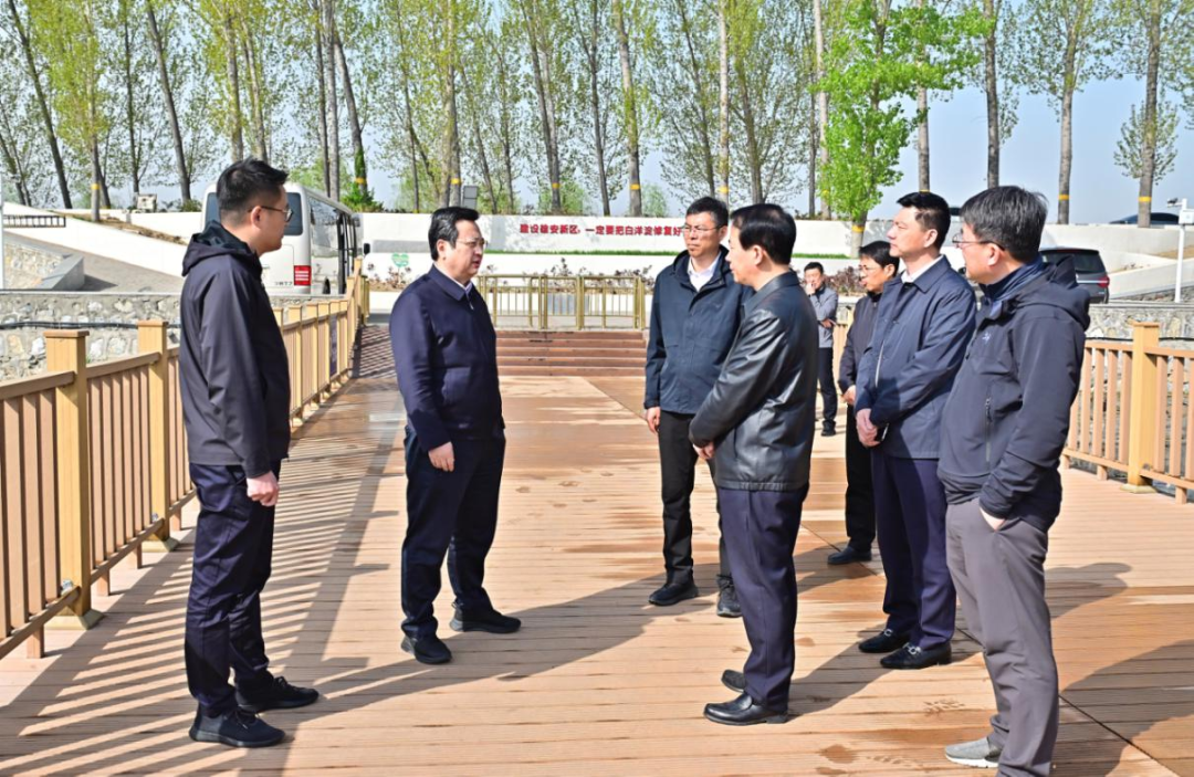 張國華調研白洋澱生態保護、旅游准備工作和重點項目建設運營情況。劉向陽攝